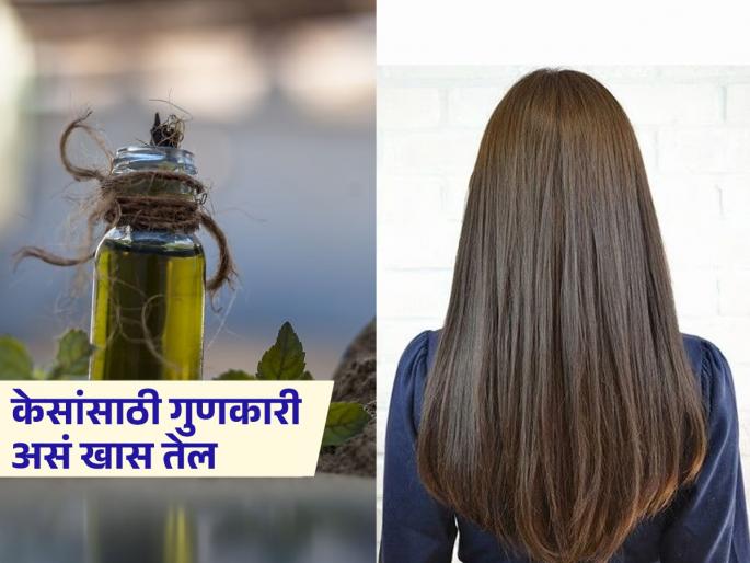 Applying brahmi oil eliminates dandruff and promotes hair growth know more benefits | 'हे' चमत्कारीक तेल लावून केसांतील कोंडा होईल दूर, सोबतच मिळतील लांबलचक-चमकदार केस