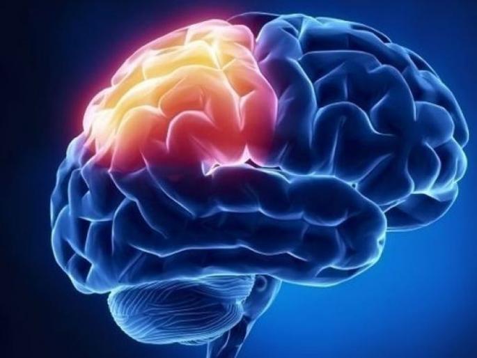 Does brain size for show brain cancer risk? | मेंदूचा आकार मोठा असल्यास कर्करोगाचा धोका, काय सांगतो रिसर्च? Does brain size for show brain cancer risk? | मेंदूचा आकार मोठा असल्यास कर्करोगाचा धोका, काय सांगतो रिसर्च?