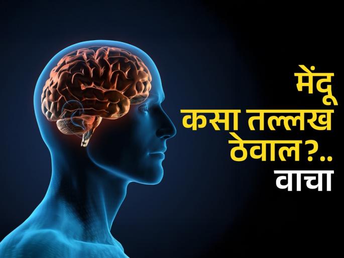 World Brain Day 2025: Do 5 things every day before your brain gets sick, Harvard University study | World Brain Day 2025 : मेंदू आजारी पडण्यापूर्वी रोज करा ५ गोष्टी, हार्वर्ड विद्यापिठाचा अभ्यास-मेंदूसाठी खास..