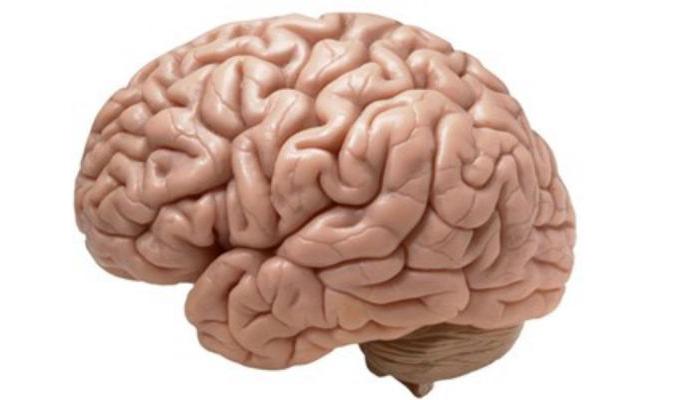 Brain injury due to noise-air pollution: Doctor's opinion | ध्वनी-वायू प्रदूषणामुळे मेंदूला इजा : डॉक्टरांचे मत Brain injury due to noise-air pollution: Doctor's opinion | ध्वनी-वायू प्रदूषणामुळे मेंदूला इजा : डॉक्टरांचे मत