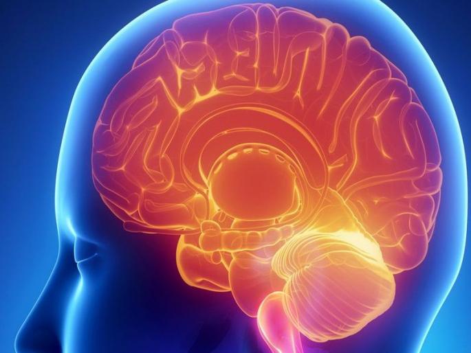 This device will make brain surgery 3 times cheaper | 'या' डिवाइसमुळे ब्रेन सर्जरी होणार सोपी आणि तीन पटीने स्वस्त!