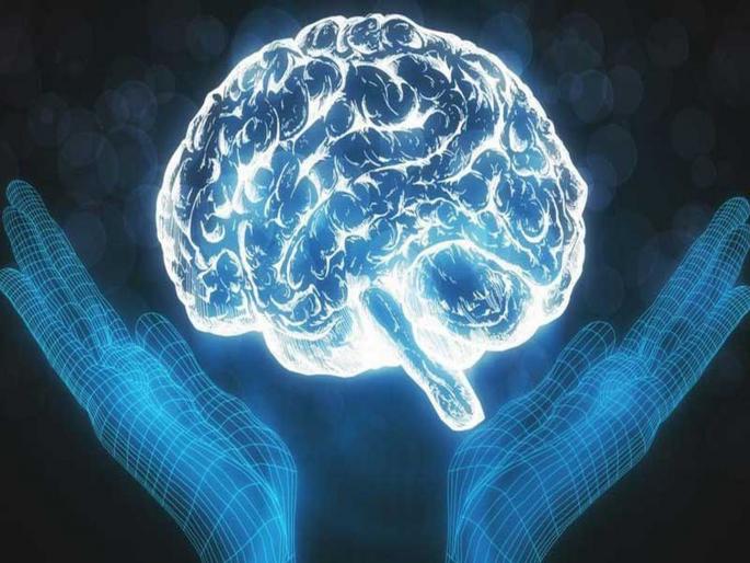 World mental health day does food control the brain know how | World Mental Health Day : आपला आहार आपल्या मेंदूवर नियंत्रण ठेवतो का? World mental health day does food control the brain know how | World Mental Health Day : आपला आहार आपल्या मेंदूवर नियंत्रण ठेवतो का?