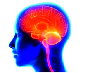 Tired hands will come together and overcome 'dementia': 'World monument day' | कोल्हापूर : थकलेले हात एकत्र येऊन दूर करणार ‘स्मृतिभ्रंश’: ‘जागतिक स्मृतिभ्रंश दिन’ Tired hands will come together and overcome 'dementia': 'World monument day' | कोल्हापूर : थकलेले हात एकत्र येऊन दूर करणार ‘स्मृतिभ्रंश’: ‘जागतिक स्मृतिभ्रंश दिन’