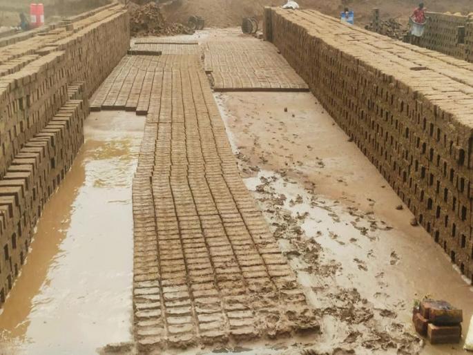 Four crore bricks became mud; Unseasonable rains crippled the brick industry | चार कोटींच्या विटांचा झाला चिखल; अवकाळी पावसाच्या तडाख्याने वीटभट्टी उद्योग कोलमडला Four crore bricks became mud; Unseasonable rains crippled the brick industry | चार कोटींच्या विटांचा झाला चिखल; अवकाळी पावसाच्या तडाख्याने वीटभट्टी उद्योग कोलमडला