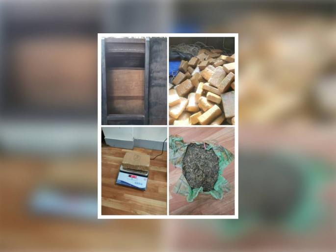 520 kg ganja worth 1 crore seized, 242 packets of ganja seized | एक कोटींचा ५२० किलो गांजा पकडला, महसूल गुप्तचर संचालनालयाची कारवाई