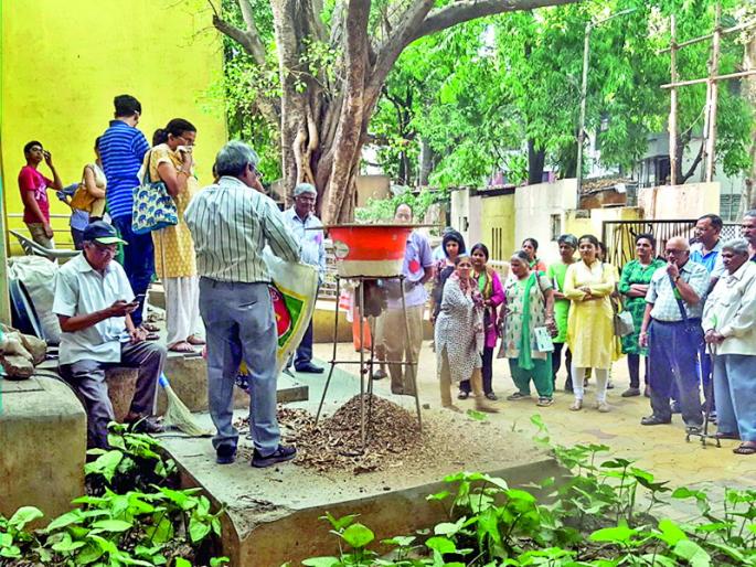 'Green corners' in Pune from Dried leaves | पानगळीमधून पुण्यात साकारताहेत ‘हिरवे कोपरे’ 'Green corners' in Pune from Dried leaves | पानगळीमधून पुण्यात साकारताहेत ‘हिरवे कोपरे’