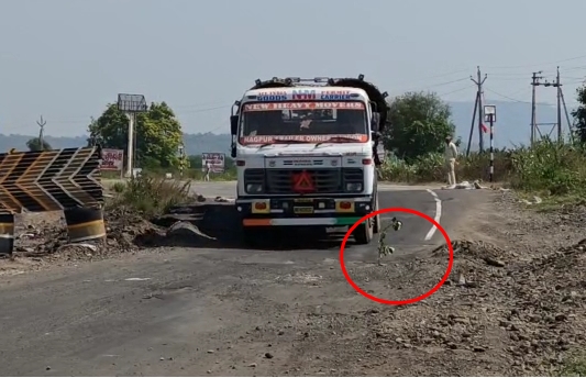 Shameless trees planted in pits on national highways; Innovative movement | राष्ट्रीय महामार्गावरील खड्ड्यात लावले बेशरमीचे झाड; अभिनव आंदोलन Shameless trees planted in pits on national highways; Innovative movement | राष्ट्रीय महामार्गावरील खड्ड्यात लावले बेशरमीचे झाड; अभिनव आंदोलन