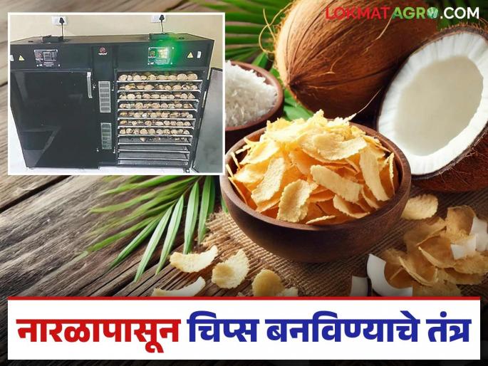This new machine developed by Konkan Agriculture University to make various products from coconut; Read in detail | नारळापासून विविध पदार्थ बनविण्यासाठी कोकण कृषी विद्यापीठाने विकसित केलंय हे नवीन यंत्र; वाचा सविस्तर This new machine developed by Konkan Agriculture University to make various products from coconut; Read in detail | नारळापासून विविध पदार्थ बनविण्यासाठी कोकण कृषी विद्यापीठाने विकसित केलंय हे नवीन यंत्र; वाचा सविस्तर