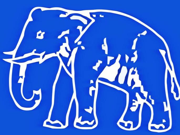The movement of elephants in Nagpur-Ramtek slowed | नागपूर-रामटेकमध्ये हत्तीची गती मंदावली The movement of elephants in Nagpur-Ramtek slowed | नागपूर-रामटेकमध्ये हत्तीची गती मंदावली