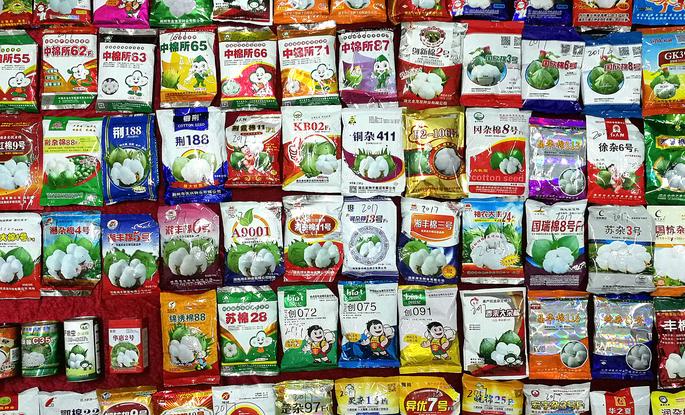 BT cotton's two lakh 64 thousand wallets available! | बीटीचे दोन लाख ६४ हजार पाकीट उपलब्ध !