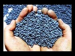 11.15 million cotton packets in Varad | वऱ्हाडात  आतापर्यंत साडे अकरा लाख बीट कापसाचे पॅकेट विकले!