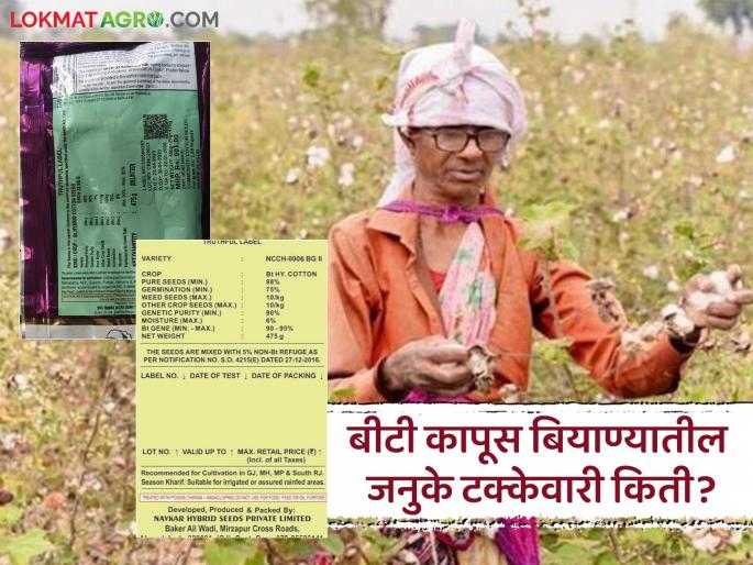 Latest News Htbt Cotton seed Gene percentage in Bt cotton seeds is confusing, read in detail | BT Cotton Seed : बीटी कापूस बियाण्यातील जनुके टक्केवारी संभ्रमित करणारी, वाचा सविस्तर 