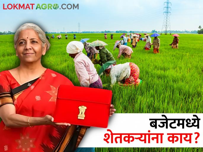 What can anyone get on a budget? | पीएम किसानचे पैसे वाढणार का? बजेटमध्ये कोणाला काय मिळू शकेल?