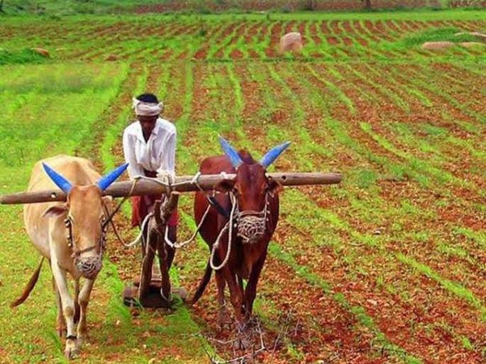 Budget 2020: Reassuring farmers, but what about guarantee? | अर्थसंकल्प: शेतकऱ्यांना दिलासा, पण हमीभावाचे काय ? Budget 2020: Reassuring farmers, but what about guarantee? | अर्थसंकल्प: शेतकऱ्यांना दिलासा, पण हमीभावाचे काय ?