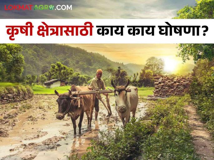Latest News Union Budget 2024 nirmala sitaraman What will farmers get from the Union Budget 2024 , know in detail | Union Budget 2024 : केंद्रीय अर्थसंकल्पातून शेतकऱ्यांना काय मिळालं? जाणून घ्या सविस्तर  Latest News Union Budget 2024 nirmala sitaraman What will farmers get from the Union Budget 2024 , know in detail | Union Budget 2024 : केंद्रीय अर्थसंकल्पातून शेतकऱ्यांना काय मिळालं? जाणून घ्या सविस्तर
