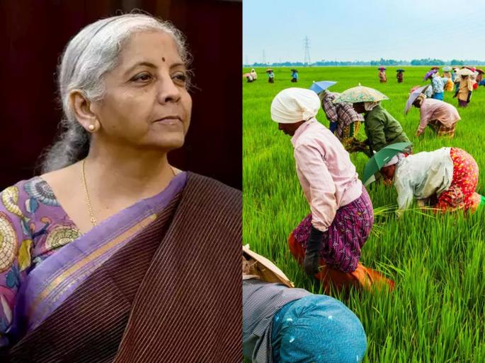 Economic Survey Report: Private sector support needed for jobs, Agriculture reducing jobs   | आर्थिक सर्वेक्षण अहवालातील धक्कादायक वास्तव; रोजगारातील कृषी क्षेत्राची हिस्सेदारी घटत चालली