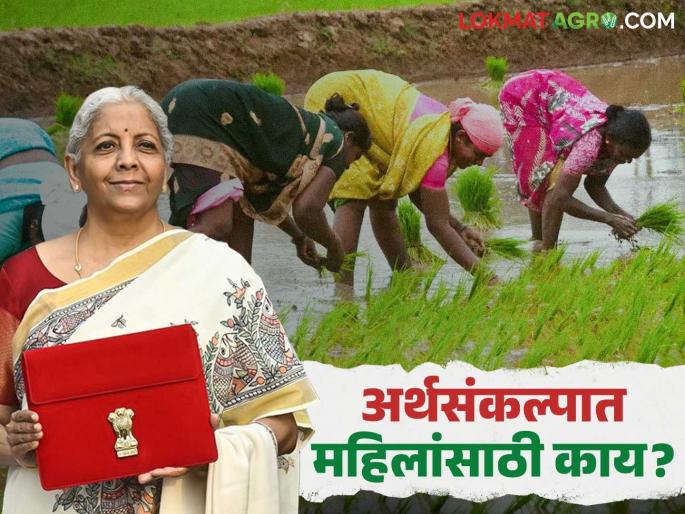 Union Budget 2025 : Read these important announcements for women in the budget in detail | Union Budget 2025 : अर्थसंकल्पात महिलांसाठी केल्या आहेत 'या' महत्त्वाच्या घोषणा वाचा सविस्तर Union Budget 2025 : Read these important announcements for women in the budget in detail | Union Budget 2025 : अर्थसंकल्पात महिलांसाठी केल्या आहेत 'या' महत्त्वाच्या घोषणा वाचा सविस्तर