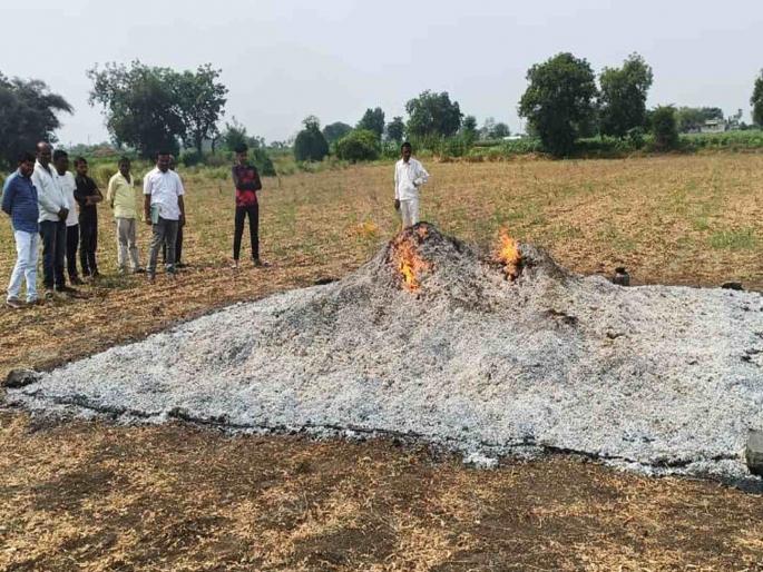 An unidentified person set fire to a pair of Soyabin in Buldhana | साेयाबीनची सुडी जाळली, शेतकऱ्याचे लाखाेंचे नुकसान; मासरुळ येथील घटना An unidentified person set fire to a pair of Soyabin in Buldhana | साेयाबीनची सुडी जाळली, शेतकऱ्याचे लाखाेंचे नुकसान; मासरुळ येथील घटना