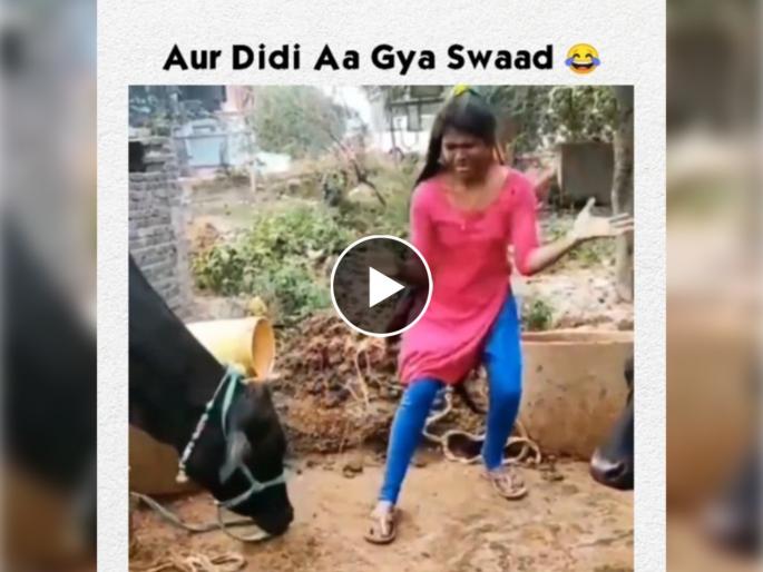 girl was dancing in front of buffalo learns lesson of lifetime video goes viral on social media | म्हशीसमोर मोठ्या ठेक्यात डान्स करत होती, म्हशीने शिकवला असा धडा की डान्सच विसरुन गेली girl was dancing in front of buffalo learns lesson of lifetime video goes viral on social media | म्हशीसमोर मोठ्या ठेक्यात डान्स करत होती, म्हशीने शिकवला असा धडा की डान्सच विसरुन गेली