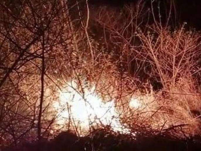 Fire in Hanwatkhed forest near Buldhana, control of forest due to vigilance of forest department | बुलढाणा लगत हनवतखेडच्या जंगलात आग, वन विभागाच्या सतर्कतेमुळे वनव्यावर नियंत्रण 