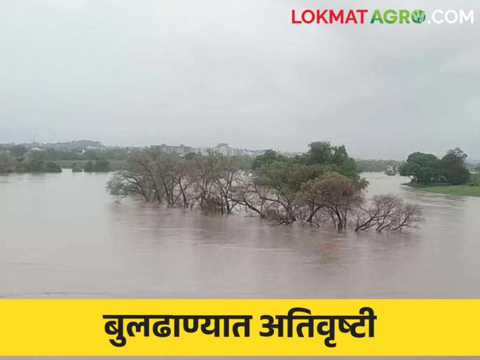 Buldhana Rain Alert : Heavy rain in three mandals in Buldhana district; Warning alert | Buldhana Rain Alert : बुलढाणा जिल्ह्यात तीन मंडळामध्ये अतिवृष्टी; सतर्कतेचा इशारा Buldhana Rain Alert : Heavy rain in three mandals in Buldhana district; Warning alert | Buldhana Rain Alert : बुलढाणा जिल्ह्यात तीन मंडळामध्ये अतिवृष्टी; सतर्कतेचा इशारा