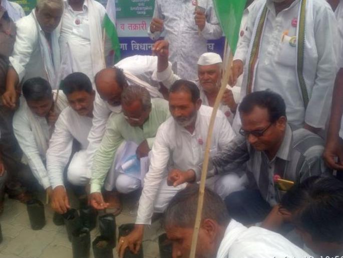 Farmers planted HTBT cotton in Buldhana; Khedbhanga agitation in front of the Collector's office | शेतकऱ्यांनी बुलडाण्यात केली एचटीबीटी कापसाची लागवड ; जिल्हाधिकारी कार्यालयासमोर कायदेभंग आंदोलन Farmers planted HTBT cotton in Buldhana; Khedbhanga agitation in front of the Collector's office | शेतकऱ्यांनी बुलडाण्यात केली एचटीबीटी कापसाची लागवड ; जिल्हाधिकारी कार्यालयासमोर कायदेभंग आंदोलन