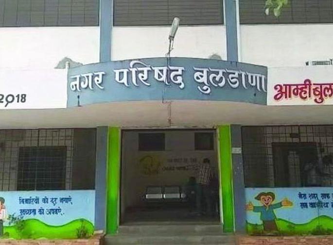 death of animals buldhana due to african swine fever | बुलढाण्यातील वराहांचा आफ्रिकन स्वाईन फिवरने मृत्यू death of animals buldhana due to african swine fever | बुलढाण्यातील वराहांचा आफ्रिकन स्वाईन फिवरने मृत्यू