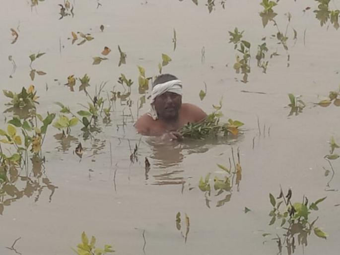 Heavy rains in buldhana Farmer samadhan gavai cry in Raheri | "सरकार मायबाप… आता कसं जगायचं?", अतिवृष्टीने हिरवी स्वप्नं चुराडली; राहेरीतील शेतकऱ्यांचा हंबरडा Heavy rains in buldhana Farmer samadhan gavai cry in Raheri | "सरकार मायबाप… आता कसं जगायचं?", अतिवृष्टीने हिरवी स्वप्नं चुराडली; राहेरीतील शेतकऱ्यांचा हंबरडा