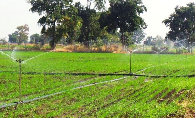 Krishi sanjivani Scheme Support of farmers for agricultural revival | कृषी संजीवनीचा शेतकऱ्यांना आधार Krishi sanjivani Scheme Support of farmers for agricultural revival | कृषी संजीवनीचा शेतकऱ्यांना आधार
