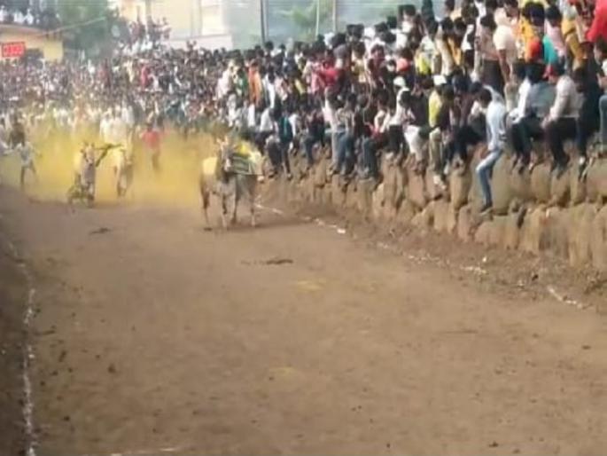 The bull cart race thrilled once again after the court ban; Crime filed against 5 persons in Khed taluka | न्यायालयीन बंदी झुगारून पुन्हा बैलगाडा शर्यतीचा थरार ; खेड तालुक्यात ५ जणांवर गुन्हा दाखल 