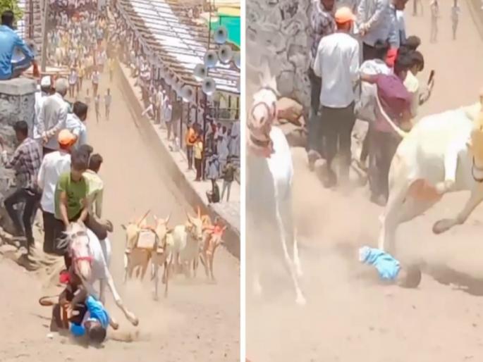 Bull jumps to the other side and child life is saved Thrilling events in Pune's bullock cart race | Video: बैलाने दुसरीकडे उडी मारली अन् मुलाचे प्राण बचावले; पुण्याच्या बैलगाडा शर्यतीतील थरारक घटना Bull jumps to the other side and child life is saved Thrilling events in Pune's bullock cart race | Video: बैलाने दुसरीकडे उडी मारली अन् मुलाचे प्राण बचावले; पुण्याच्या बैलगाडा शर्यतीतील थरारक घटना