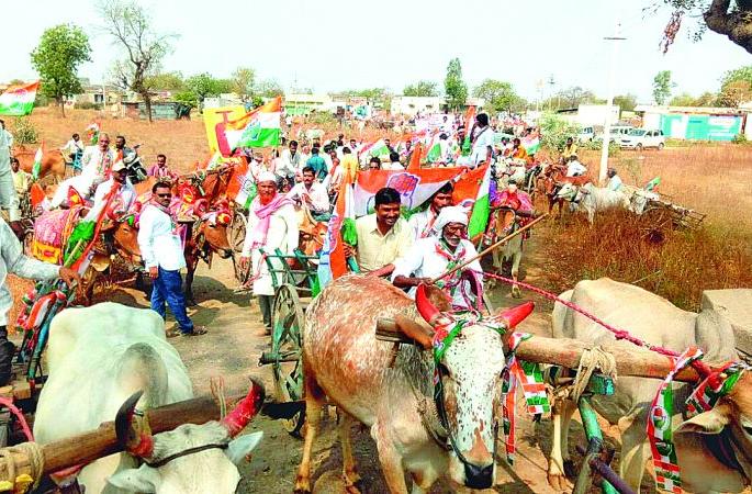 Buldana: The bullock cart in protest against the fuel price hike of Congress in Motilal | बुलडाणा : मोताळ्यात काँग्रेसचा इंधन दरवाढीच्या निषेधार्थ बैलगाडी मोर्चा Buldana: The bullock cart in protest against the fuel price hike of Congress in Motilal | बुलडाणा : मोताळ्यात काँग्रेसचा इंधन दरवाढीच्या निषेधार्थ बैलगाडी मोर्चा