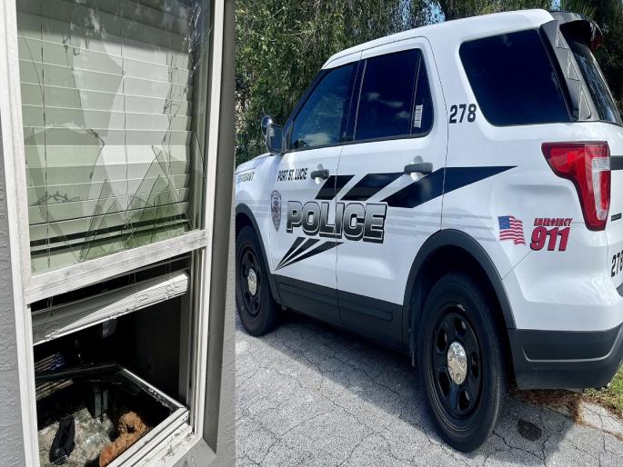 america 19 french bulldogs worth one million dollars stolen in america you will be surprised to see the method of theft | एक लाख डॉलर किमतीचे 19 फ्रेंच बुलडॉग चोरीला, घटनेमुळे पोलिसही हैराण! america 19 french bulldogs worth one million dollars stolen in america you will be surprised to see the method of theft | एक लाख डॉलर किमतीचे 19 फ्रेंच बुलडॉग चोरीला, घटनेमुळे पोलिसही हैराण!