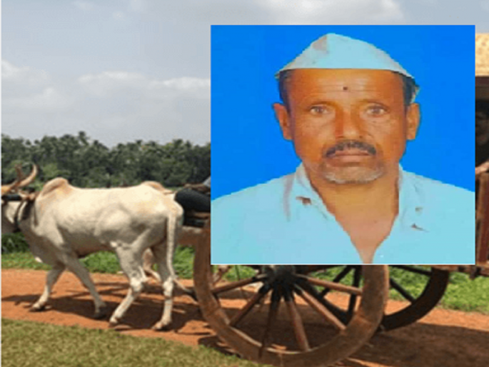 A farmer died as a bullock cart fell on him in an accident | पोळ्यानंतर दुसऱ्याच दिवशी नवी बैलजोडी उधळली; बैलगाडी उलटल्याने शेतकर्याचा मृत्यू A farmer died as a bullock cart fell on him in an accident | पोळ्यानंतर दुसऱ्याच दिवशी नवी बैलजोडी उधळली; बैलगाडी उलटल्याने शेतकर्याचा मृत्यू