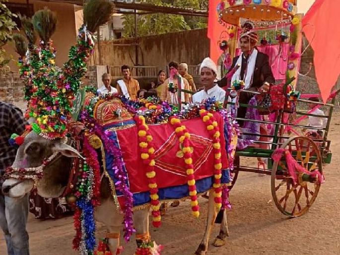 the bridegroom's wedding came from a bullock cart | जुन्या काळातील आठवणींना उजाळा; चक्क बैलगाडीतून आली नवरदेवाची वाजतगाजत वरात the bridegroom's wedding came from a bullock cart | जुन्या काळातील आठवणींना उजाळा; चक्क बैलगाडीतून आली नवरदेवाची वाजतगाजत वरात