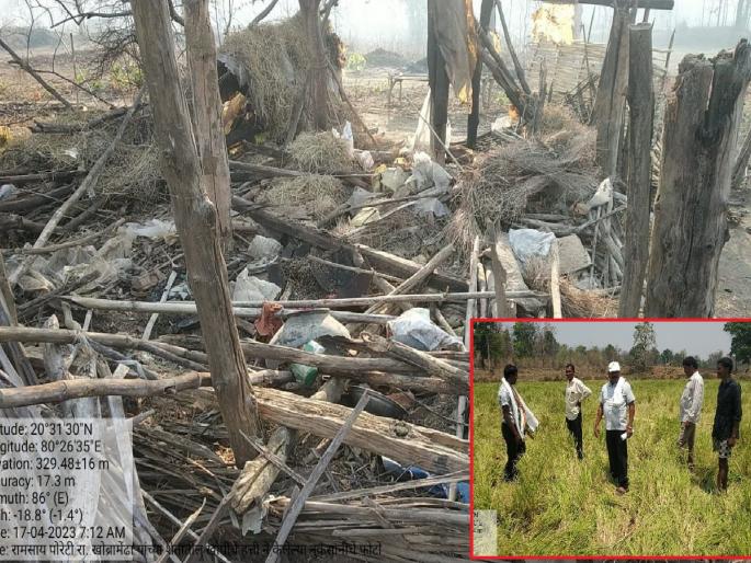 wild elephants destroyed the paddy crops and huts in Khobramendha! | ते पुन्हा आले...खोब्रामेंढातील धानपीक व झोपड्यांची केली नासधूस !