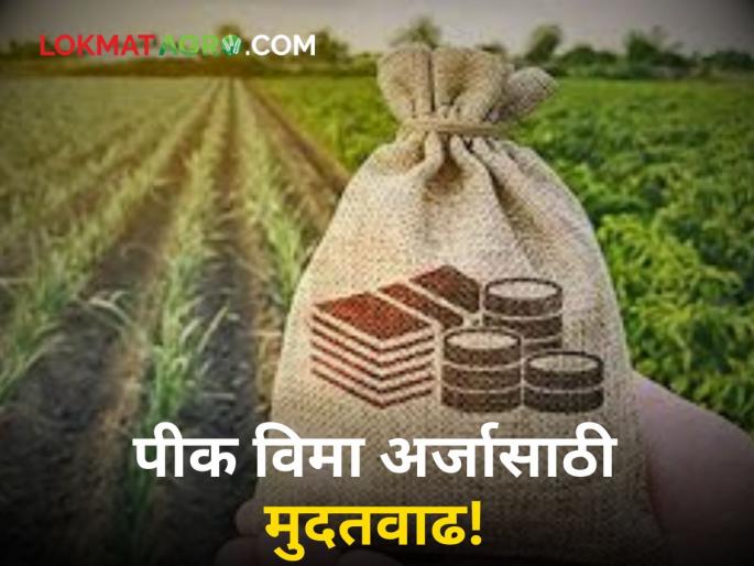 Crop Insurance: Got extension for crop insurance application! 'This' is the last date | Crop Insurance : पीक विमा अर्जासाठी मिळाली मुदतवाढ! 'ही' आहे शेवटची तारीख Crop Insurance: Got extension for crop insurance application! 'This' is the last date | Crop Insurance : पीक विमा अर्जासाठी मिळाली मुदतवाढ! 'ही' आहे शेवटची तारीख