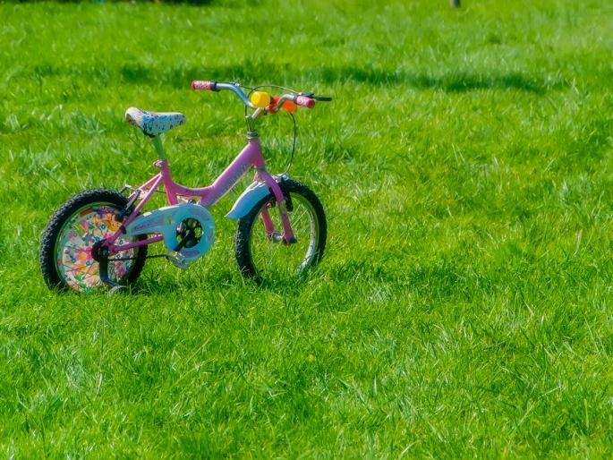 DIY : wash your bicycle, its fun! | काय सांगता, तुम्ही कधी सायकल नाही पुसली ? DIY : wash your bicycle, its fun! | काय सांगता, तुम्ही कधी सायकल नाही पुसली ?