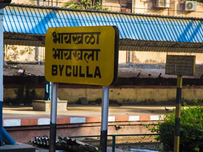 byculla pattern to prevent point failure in rainy season on central railway | पॉइंट फेल्युअर रोखण्यासाठी ‘भायखळा पॅटर्न’ byculla pattern to prevent point failure in rainy season on central railway | पॉइंट फेल्युअर रोखण्यासाठी ‘भायखळा पॅटर्न’