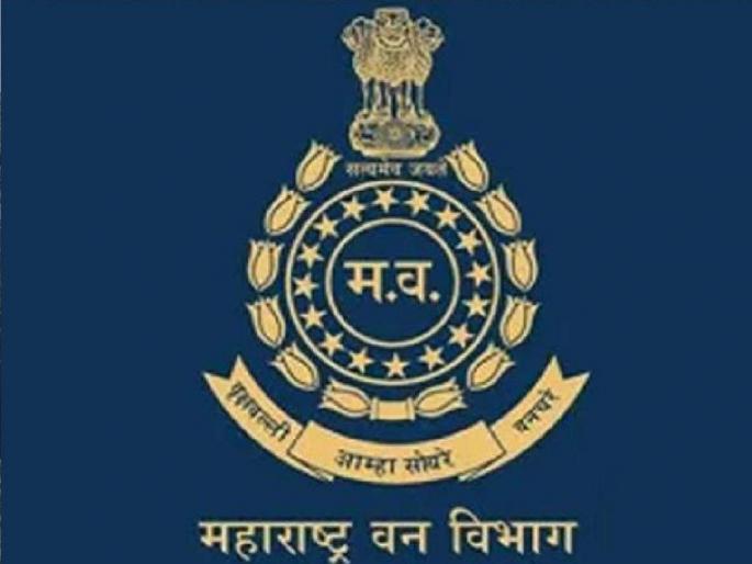 If there are irregularities in transfers of RFOs, do online process or not? Forest Rangers Association initiative | आरएफओंच्या बदल्यांमध्ये अनियमितता होतयं तर करा ना ऑनलाईन प्रक्रिया?  If there are irregularities in transfers of RFOs, do online process or not? Forest Rangers Association initiative | आरएफओंच्या बदल्यांमध्ये अनियमितता होतयं तर करा ना ऑनलाईन प्रक्रिया?