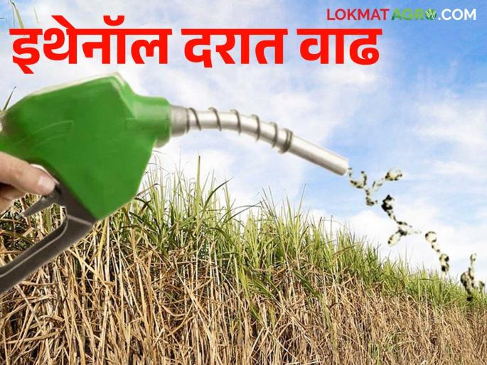 C Heavy Ethanol Price : C Heavy Ethanol price increased by Rs 1.69 | C Heavy Ethanol Price : सी हेवी इथेनॉलच्या दरात १.६९ रुपयांची वाढ C Heavy Ethanol Price : C Heavy Ethanol price increased by Rs 1.69 | C Heavy Ethanol Price : सी हेवी इथेनॉलच्या दरात १.६९ रुपयांची वाढ