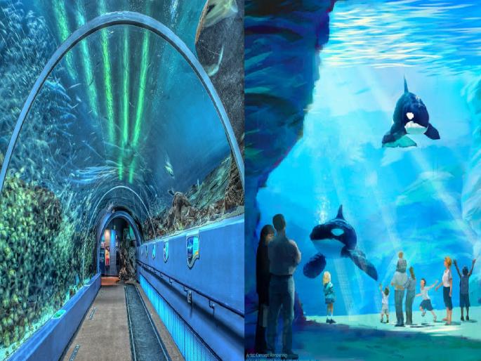 Demand for Sea World project to transform Sindhudurg gains momentum | सिंधुदुर्गचा कायापालट करणाऱ्या सी वर्ल्ड प्रकल्पाच्या मागणीला जोर