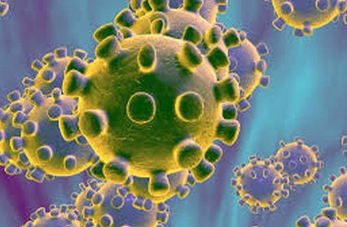 CoronaVirus in Akola: five 'negatives'; Suspected of Akola in Hingoli! | CoronaVirus in Akola : पाच ‘निगेटिव्ह’; अकोल्याचा एक संशयित हिंगोलीत! CoronaVirus in Akola: five 'negatives'; Suspected of Akola in Hingoli! | CoronaVirus in Akola : पाच ‘निगेटिव्ह’; अकोल्याचा एक संशयित हिंगोलीत!