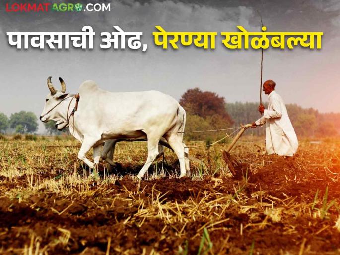 Inflow of rains, sowing disturbed, advice not to sow until sufficient rains | पावसाची ओढ, पेरण्या खोळंबल्या, पुरेसा पाऊस होईपर्यंत पेरण्या न करण्याचा सल्ला Inflow of rains, sowing disturbed, advice not to sow until sufficient rains | पावसाची ओढ, पेरण्या खोळंबल्या, पुरेसा पाऊस होईपर्यंत पेरण्या न करण्याचा सल्ला