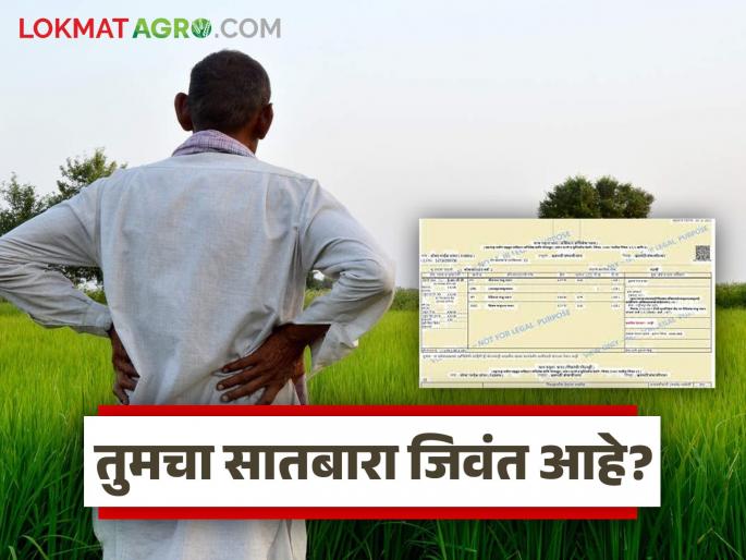 Live Satbara campaign! List of deceased will be published after reciting Chavadi | Satbara : जिवंत सातबारा मोहीम! चावडी वाचन करून मृतांची यादी प्रसिद्ध करण्यात येणार
