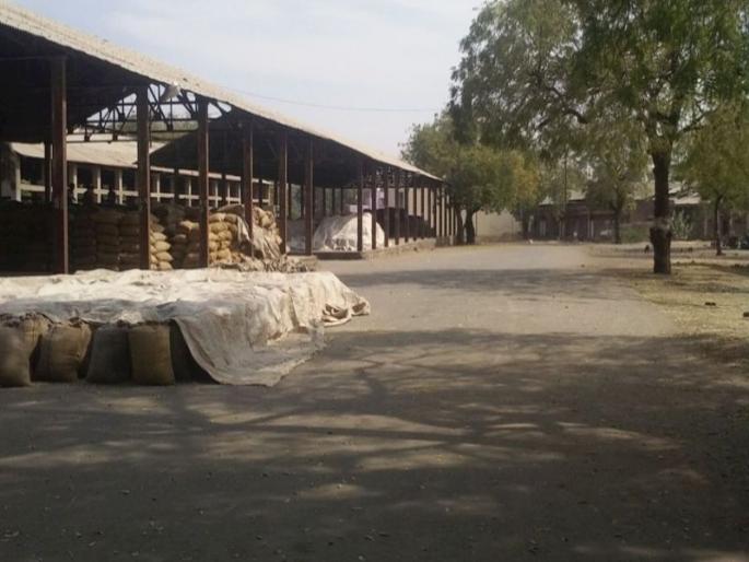 Junk trading in market committees | बाजार समित्यांमधील व्यवहार ठप्प Junk trading in market committees | बाजार समित्यांमधील व्यवहार ठप्प