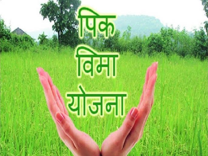 The Grievance Committee is set up for the first time | तक्रार निवारण समिती प्रथमच स्थापन The Grievance Committee is set up for the first time | तक्रार निवारण समिती प्रथमच स्थापन