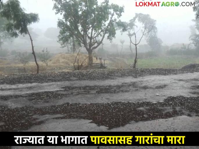 Hailstorm: Hailstorm with rain in these parts of the state including Vidarbha, know.. | Hailstorm: राज्यात विदर्भासह या भागात पावसासह गारांचा मारा, जाणून घ्या.. Hailstorm: Hailstorm with rain in these parts of the state including Vidarbha, know.. | Hailstorm: राज्यात विदर्भासह या भागात पावसासह गारांचा मारा, जाणून घ्या..