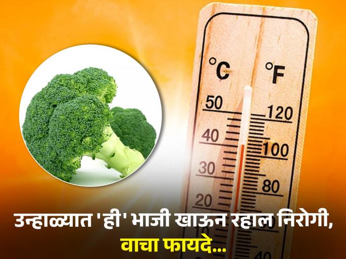 Broccoli Benefits In Summer : 6 Amazing Benefits Of Broccoli You Must Know | भाज्यांची राणी म्हटली जाते ब्रोकली, उन्हाळ्यात खाण्याचे फायदे वाचाल तर व्हाल अवाक्