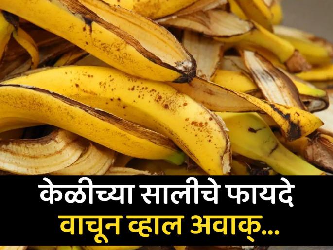 Do you know the health benefits of banana peels | कचरा समजून केळीची साल फेकून देता? हे फायदे वाचाल तर कधीच फेकणार नाही! Do you know the health benefits of banana peels | कचरा समजून केळीची साल फेकून देता? हे फायदे वाचाल तर कधीच फेकणार नाही!